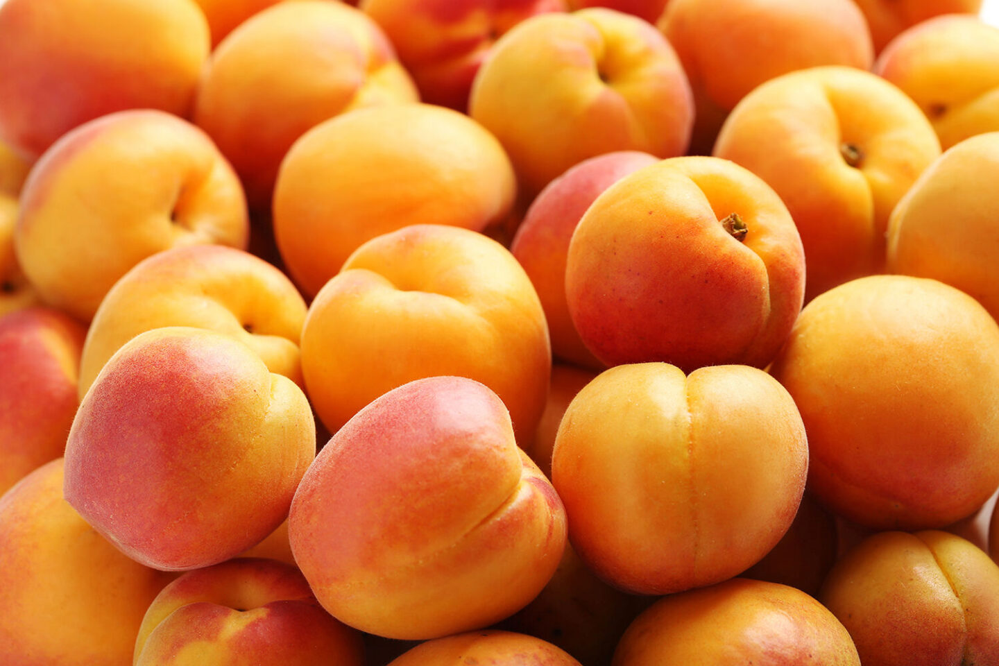 Fruit abricots en vrac, photo close-up. Le top 5 des produits locaux pour se rafraîchir en canicule