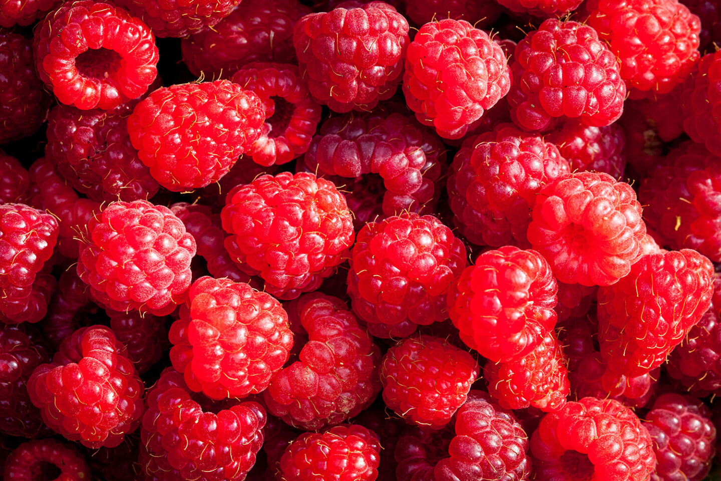 Fruit framboises en vrac, photo close-up. Le top 5 des produits locaux pour se rafraîchir en canicule