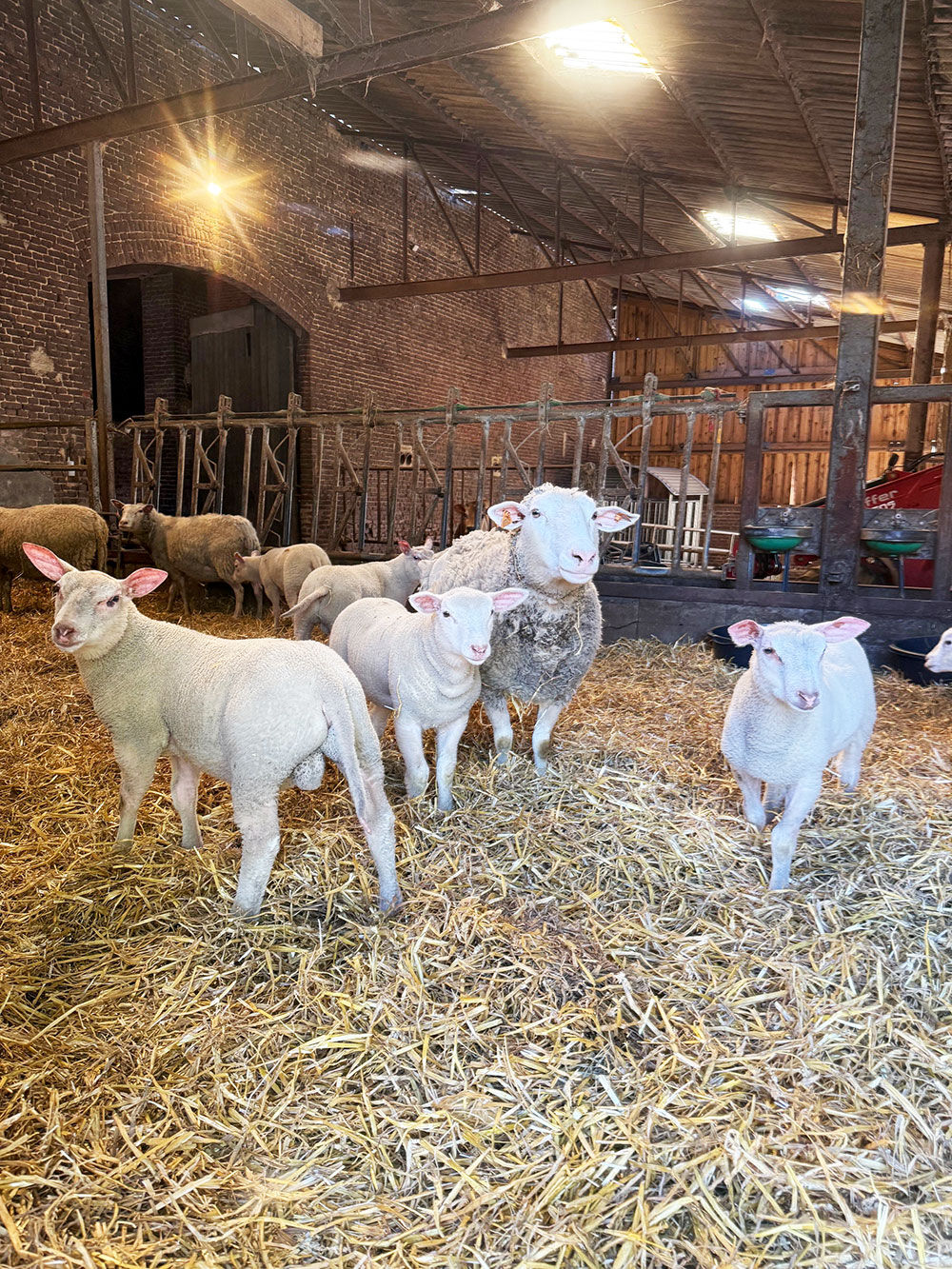 La Ferme du Pont des Dames